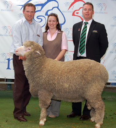 almondvale - peter, marita, paul, dalles, bond sheep, white suffolk, stud