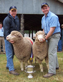 highlight almondvale white suffolk and bond sheep studs