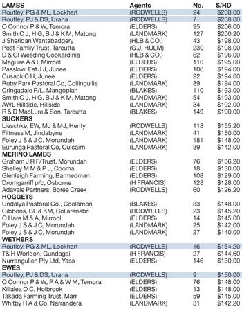 wagga lamb sale